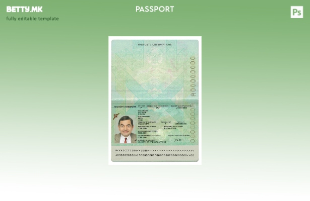 Шаблон за казахстански пасош (сегашен) модерен стил